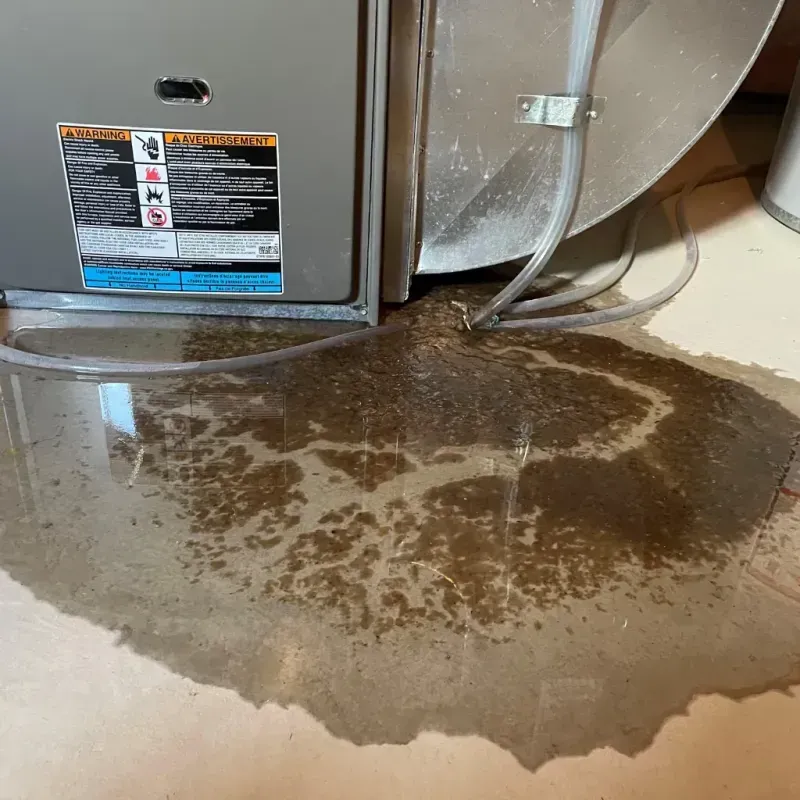 Appliance Leak Cleanup in Beloit, KS